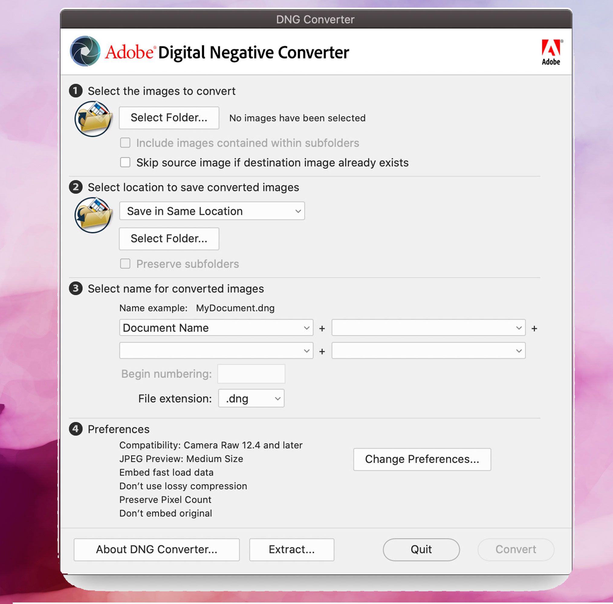 لقطة شاشة Adobe DNG Converter ، تحويل صور DNG إلى JPEG..