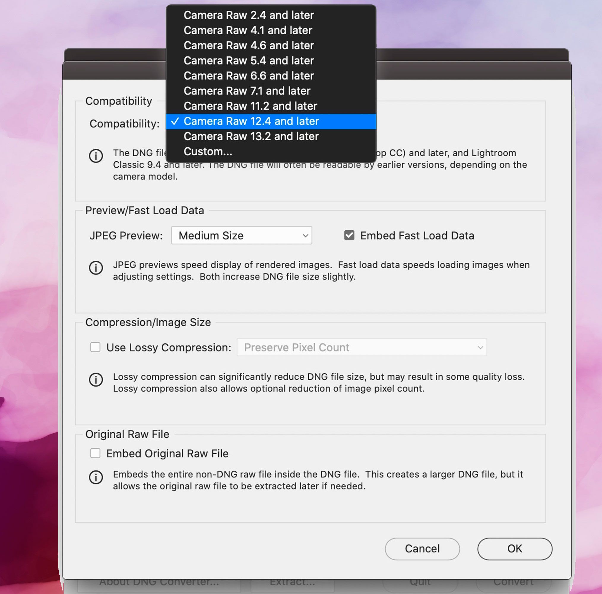 لقطة شاشة Adobe DNG Converter ، تفضيلات التوافق..