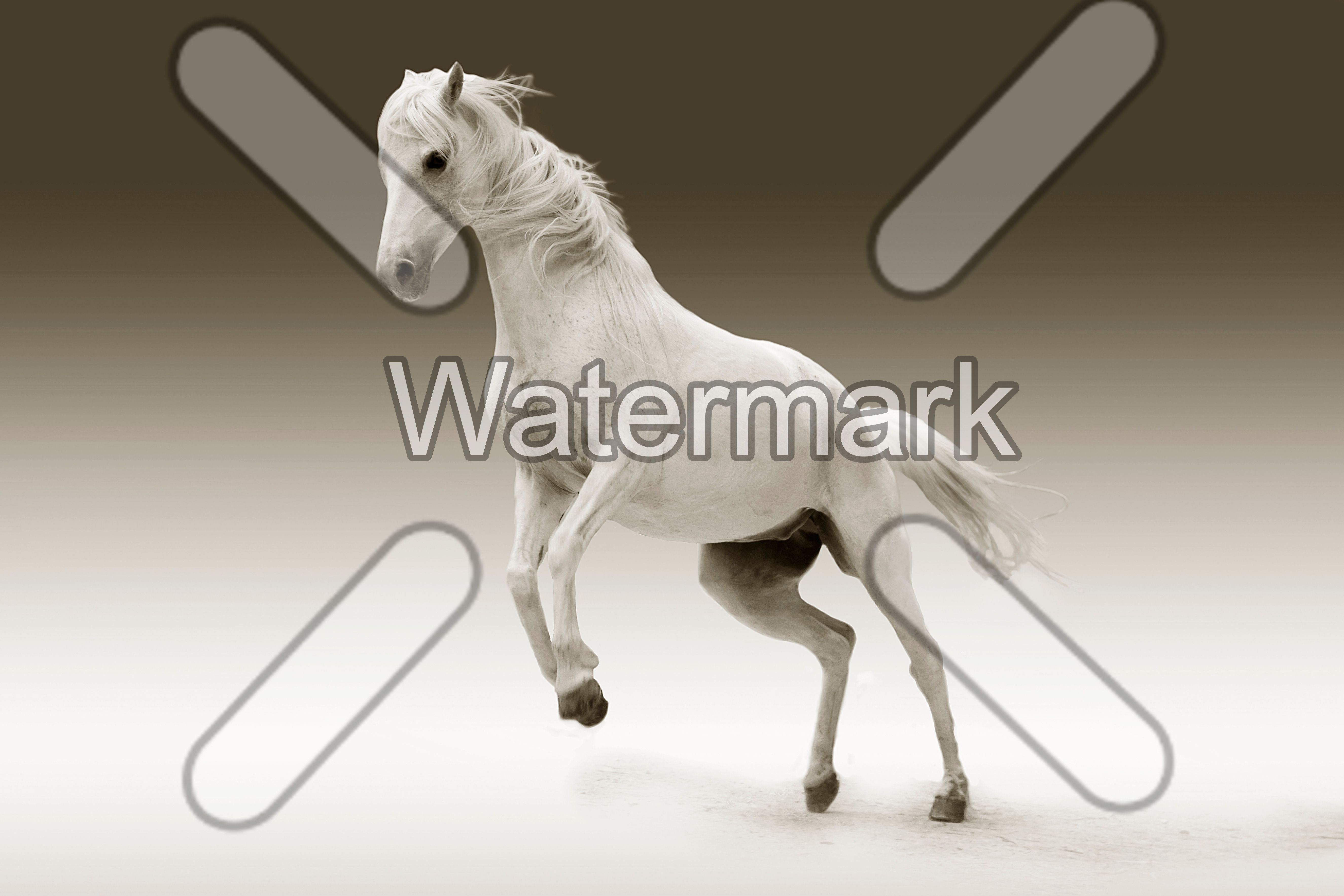 Automatic watermark position.