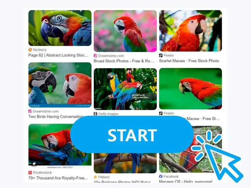 ابدأ التحويل.