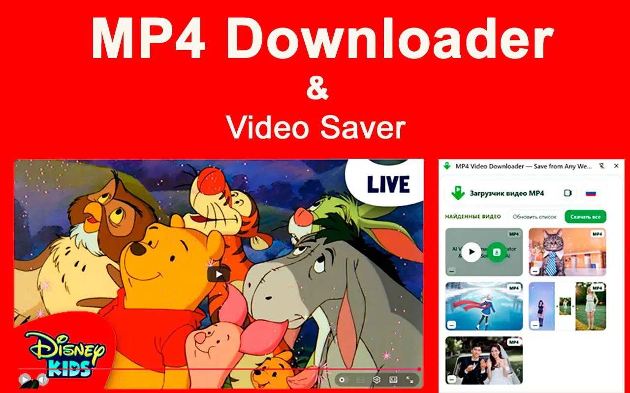 قيود أداة تنزيل MP4 وامتداد Chrome.