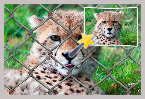 Photo Stamp Remover لقطة