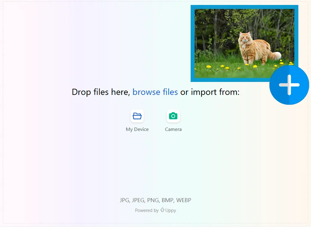 تحميل صورة مرجعية.