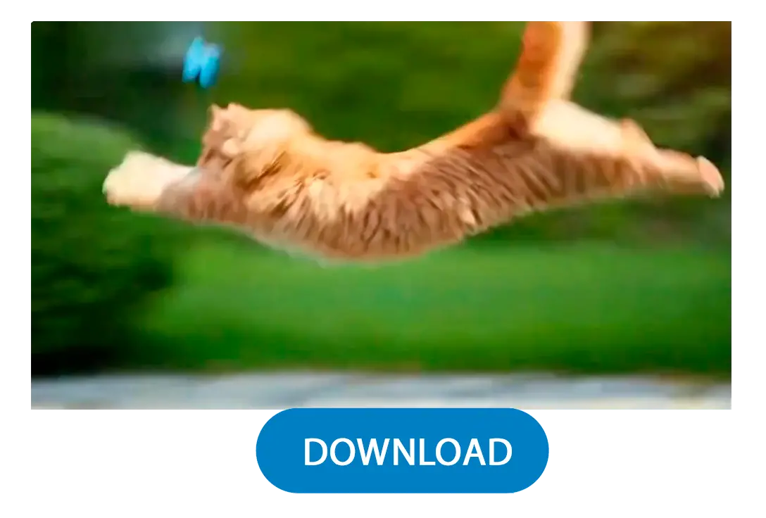 الإنشاء والتنزيل.